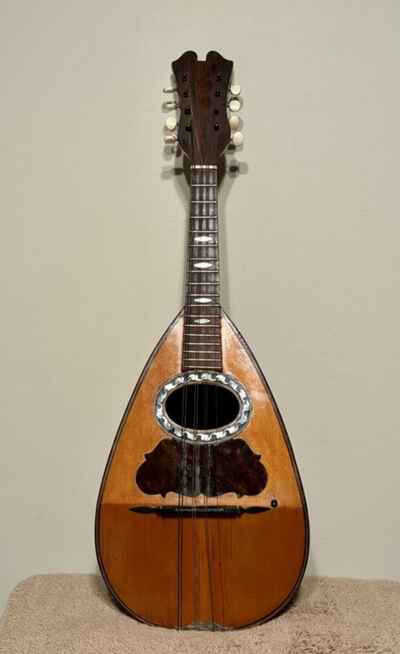 1896 Giuseppe Vinaccia Fu Gaetano Mandolin Fluted Bowl Back