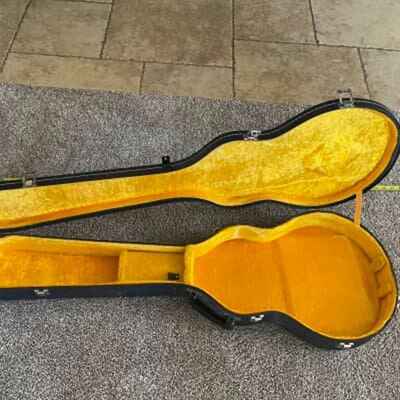 CLEAN HARD GUITAR CASE ELECTRIC SMALLER BODY 364