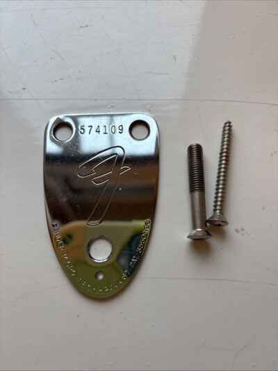 Vintage 1974 Fender Stratocaster USA Serial Plate And Screws