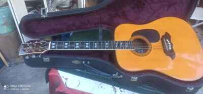 EKO ELDORADO Acoustic Guitar 6 String Rare CHITARRA ACUSTICA VINTAGE