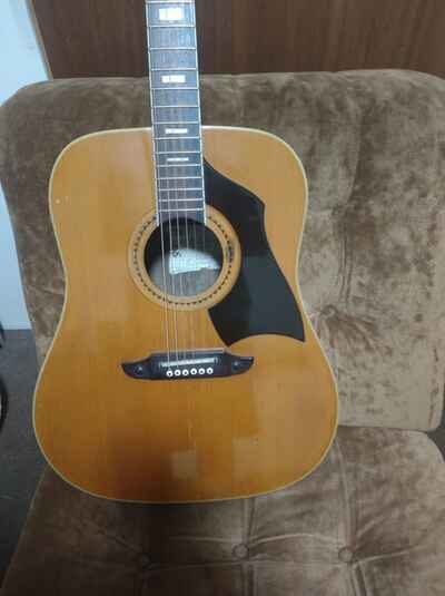 Eko Rio Bravo 6 Acoustic Guitar