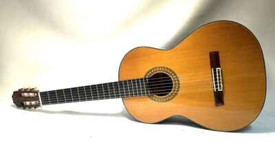 Aria Japan Made Classical Acoustic Guitar - AC50! (WMP010481)