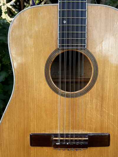 1966 Levin LTS-5 All Solid, Brazilian Rosewood 12 String Acoustic Guitar