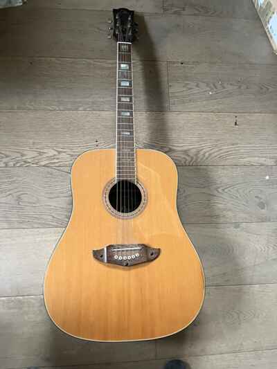 vintage Eko Rio Bravo 6 Acoustic Guitar With Soft Padded Case